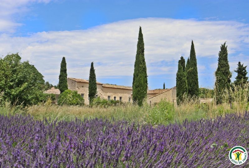 Le Prieuré de Grignan à Grignan - 29