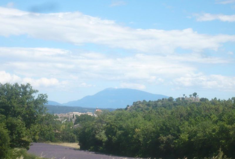 Les cigales à Montségur-sur-Lauzon - 22