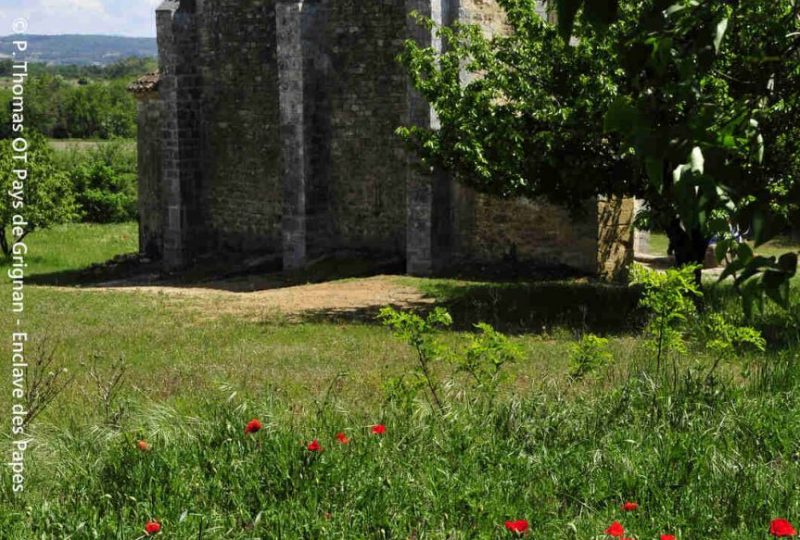 Sentier VTT L’Enclave des Papes – 3 à Grignan - 1