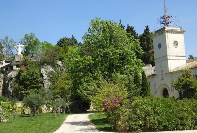 Sentier VTT Sur les traces de l’Abbaye d’Aiguebelle – 4 à Grignan - 0