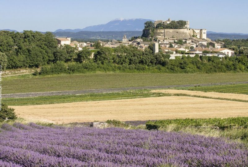 Sentier VTT Le Rouvergue – 6 à Grignan - 2