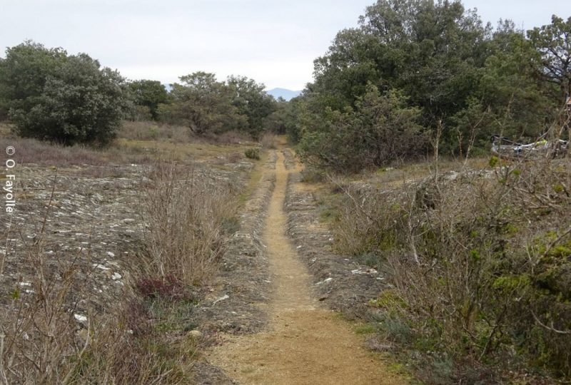 Sentier VTT La Voie Romaine – 8 à Chamaret - 3