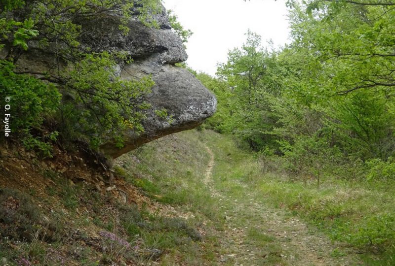 Sentier VTT Entre Bois & Ravins – 12 à Taulignan - 1