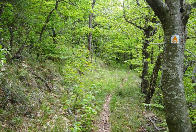 Sentier VTT Entre Bois & Ravins – 12 à Taulignan - 2