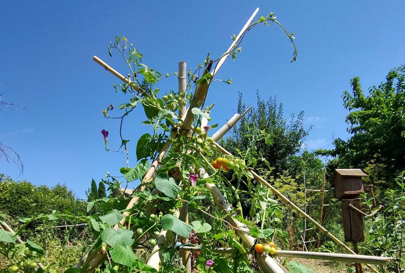 The Naturoptère à Sérignan-du-Comtat - 3