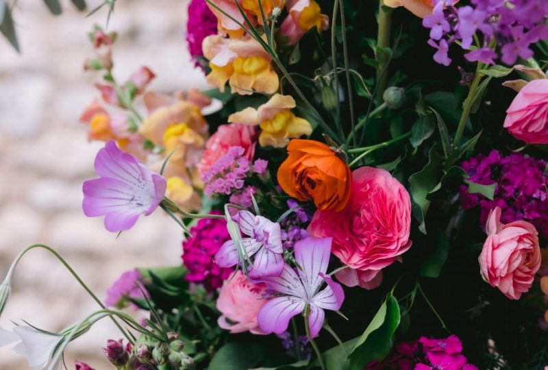 Les Fleurs du Grillon à Grillon - 5