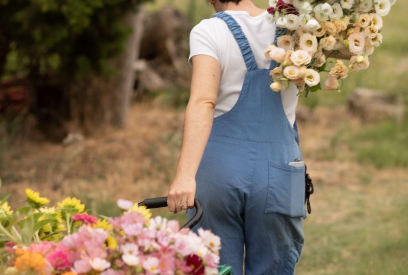 Les Fleurs du Grillon à Grillon - 7