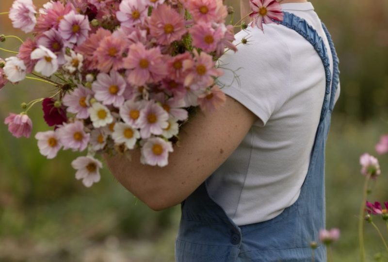 Les Fleurs du Grillon à Grillon - 9