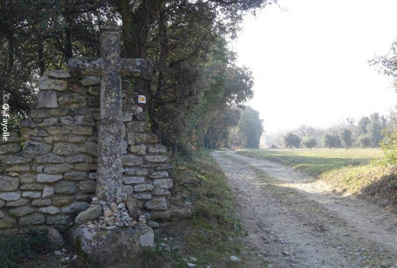 Sentier VTT Rochecourbière – 7 à Chamaret - 9