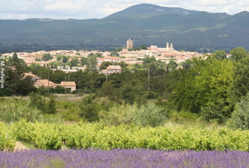 Sentier VTT L’Enclave des Papes – 3 à Grignan - 0