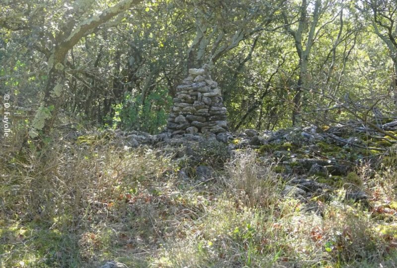 Sentier VTT Le Rouvergue – 6 à Grignan - 1