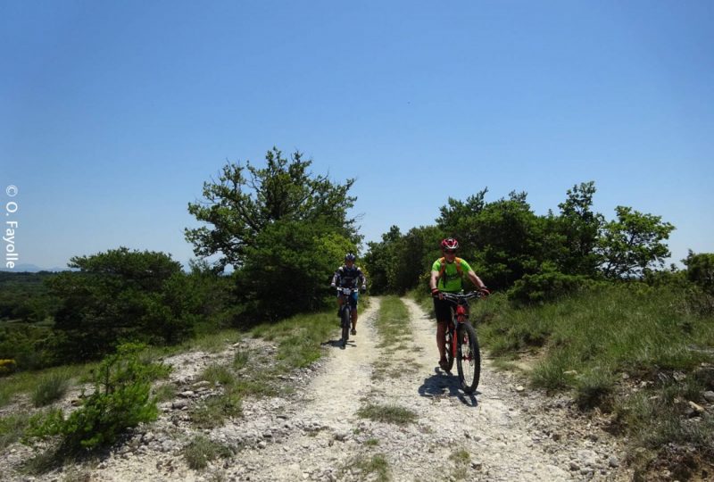 Sentier VTT Les Truffières et les vignobles -11 à Taulignan - 0