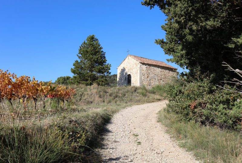 Chapelle Saint Vincent à Visan - 1