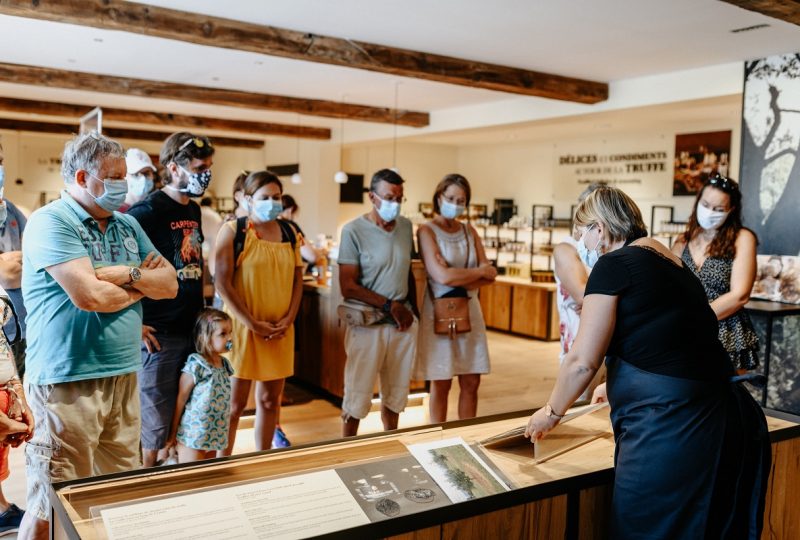 Boutique de la fabrique et Institut de la truffe Plantin à Puyméras - 6